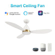 Load image into Gallery viewer, YORK 52 inch 3 - Blade Smart Ceiling Fan with LED Light &amp; Remote - LEDMyPlace