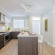 Load image into Gallery viewer, ZELDA 52 inch 5 - Blade Ceiling Fan with LED Light &amp; Remote - LEDMyPlace