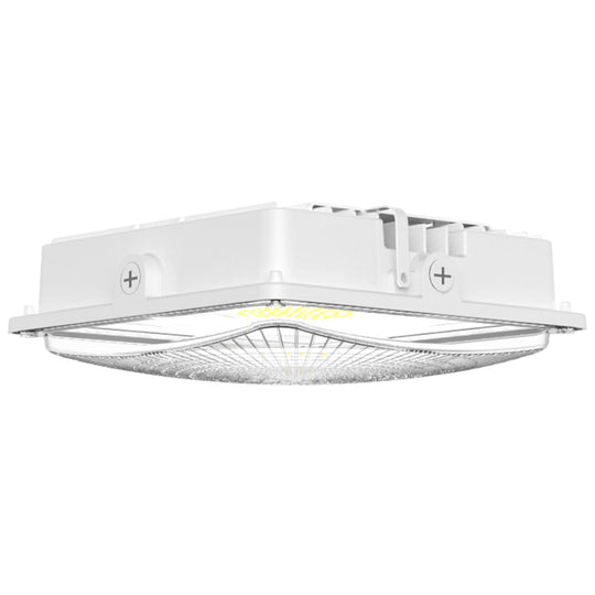 LED Canopy Light 35W 5000K Daylight 4550LM IP65 Waterproof 0-10V Dim 120-277VAC UL Listed Surface or Pendant Mount, for Gas Stations Outdoor Area Light White