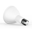 Load image into Gallery viewer, LED Bulb - PAR30 Long Neck - 5000K - Day Light White -12 Watt - 75 Watt Equivalent High CRI 90+