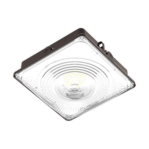 LED Canopy Light 35W 5000K Daylight 4550LM IP65 Waterproof 0-10V Dim 120-277VAC UL Listed Surface or Pendant Mount, for Gas Stations Outdoor Area Light, Black