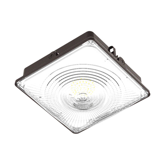 LED Canopy Light 35W 5000K Daylight 4550LM IP65 Waterproof 0-10V Dim 120-277VAC UL Listed Surface or Pendant Mount, for Gas Stations Outdoor Area Light, Black