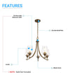 Load image into Gallery viewer, 5-Lights Chandelier Light - Brass Gold Finish with Clear Glass Shades, E26 Socket, UL Listed for Damp Location, 3 Years Warranty