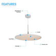 Load image into Gallery viewer, Round Plate Pendant Light, 41W, 3000K, 2225LM, Diameter 17.3&quot; x 55&quot;H, Dimmable, Pendant Mounting
