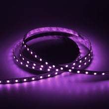 Load image into Gallery viewer, 12V LED Strip Lights - LED Tape Light with Connector- IP20 Rated