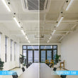 Load image into Gallery viewer, T8 4ft 18W LED Tube Glass 5000K Frosted Single Ended power