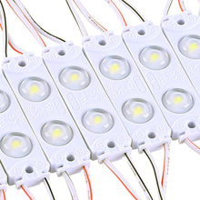 Load image into Gallery viewer, 40-Pack LED Module, 2 LEDs/Mod, DC12V, 1W