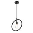Load image into Gallery viewer, Matte Black Ring Shape Pendant Light Fixture, E26 Base, UL Listed for Dry Location, Fixture Size: D12 x H13.5 Inch