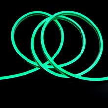 Load image into Gallery viewer, LED Neon Rope Light, 120V, UL Listed (Blue,Green,Red,Pink)