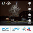 Load image into Gallery viewer, 100W LED Pole Light with Photocell; 5700K ; Universal Mount ; Bronze ; AC100-277V
